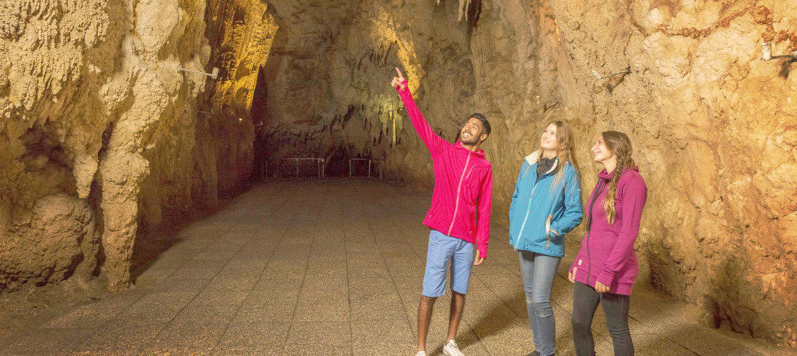 Waitomo Glowworm Caves and Ruakuri Cave Combo