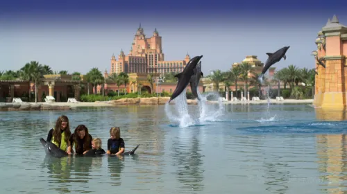 Aquaventure Waterpark Admission + Dolphin Bay Dolphin Swim