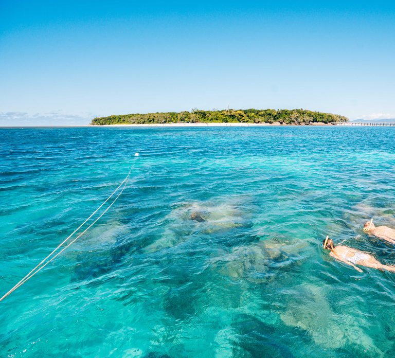 Cairns: Green Island Snorkelling or Glass Bottom Boat