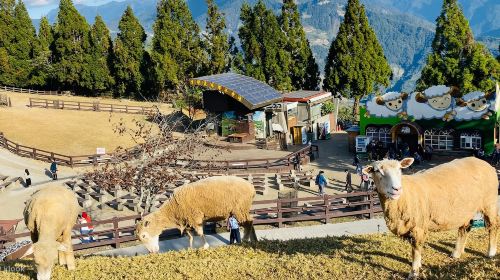 Qingjing Farm + Sun Moon Lake 1-day tour Day Tours