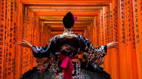From Osaka: Nara, Kyoto, Fushimi Inari, Himeji and Kobe trip Day Tours