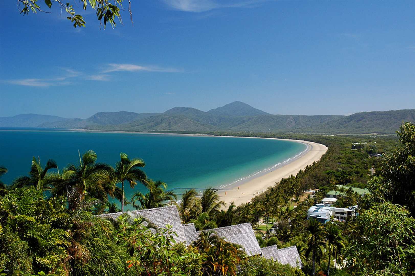 Day Tour with Cairns Transfer: Cape Tribulation, Daintree & Wildlife | Queensland, Australia