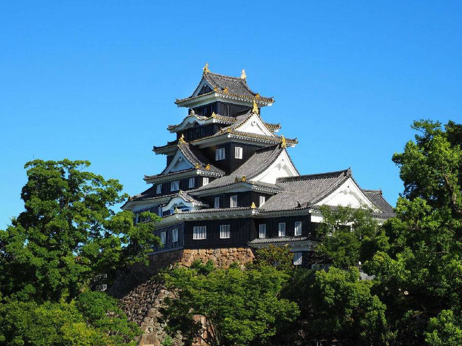 5-Days Kansai Wide Area Railway Tour Pass Package