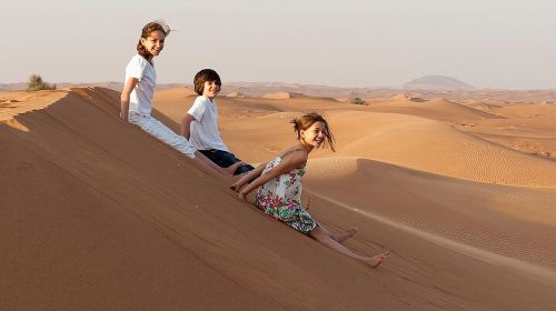 Private Morning Safari Dune Bashing, Camel Ride, Falcon sandboard Day Tours