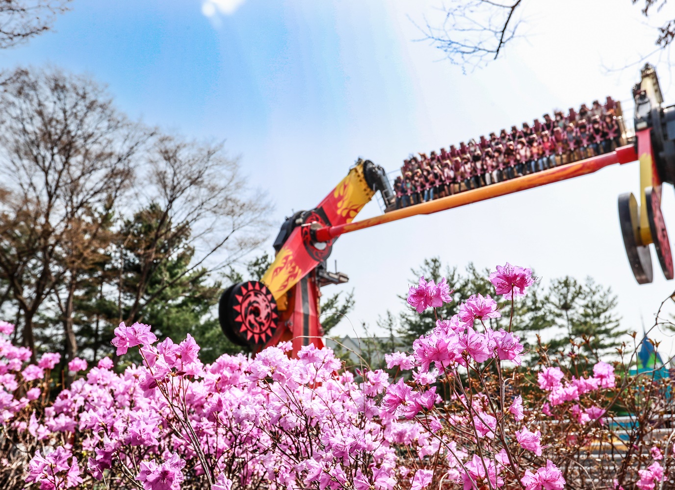 [Seoulland] Seoulland + Seoul Zoo Unlimited Admission Ticket (Reservation)