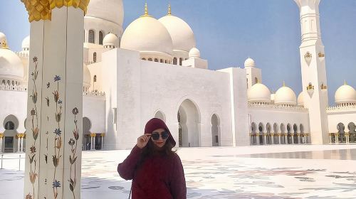 Private Tour : Abu Dhabi Full Day City Tour  Day Tours