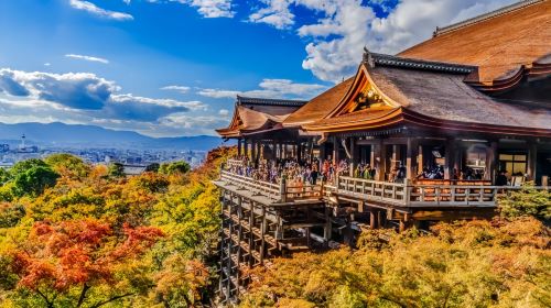 [Osaka + Kyoto popular must-visit 1-day tour] Kiyomizu-dera Temple + Yasaka Shrine + Fushimi Inari Taisha Day Tours