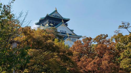 Ultimate Osaka Walking Tour: Castle, Dotonbori & Hidden Gems Day Tours