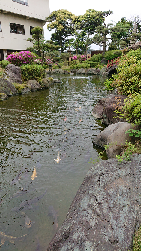 Fukui Awara Onsen Hot Spring & Matcha Experience Tour