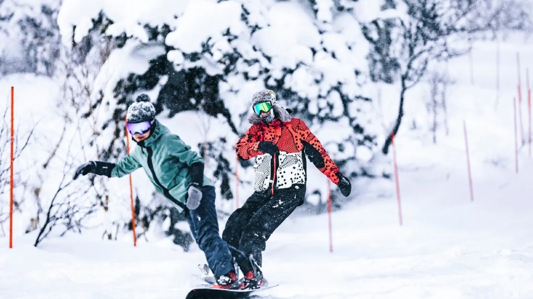 1-day tour to Sapporo International Ski Resort in Hokkaido, Japan, beginner and advanced ski slopes, optional coach package