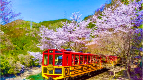 1-day tour to Arashiyama, Nara Park, Fushimi Inari Taisha, and Togetsukyo Bridge - Departing from Osaka Day Tours