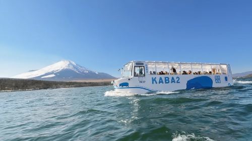 9-Person Autumn Tour from Tokyo: Mount Fuji 1-day tour with Optional Yamanakako Kaba Bus! Day Tours