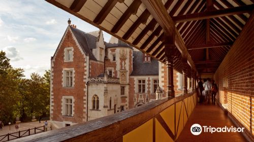 Le Chateau du Clos Luce - Parc Leonardo da Vinci