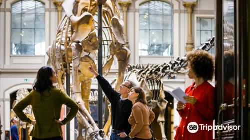 Museum für Naturkunde