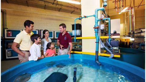 Atlantis Fish Tales Tour Including The Lost Chambers Aquarium