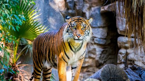Sydney: Hop-on Hop-off Harbour Cruise with Commentary Day Tours