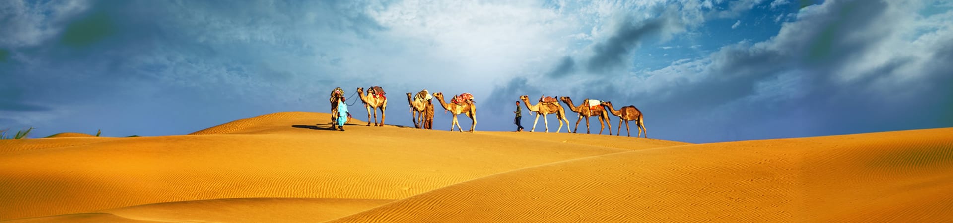 Camel Riding