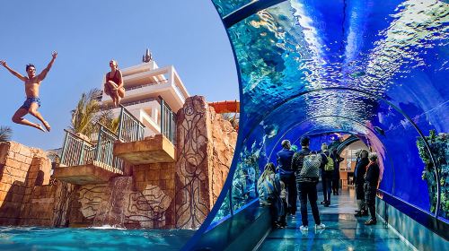 Dubai Atlantis Aquaventure Water Park & Lost Chambers tour with Transfers Day Tours