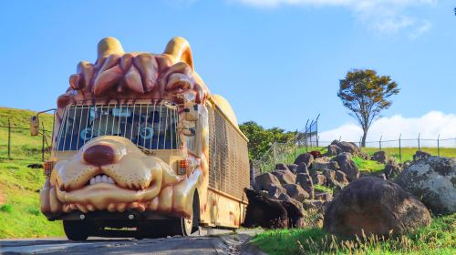 one-day tour of Kyushu Zoo in Oita,Ghibli Town & Animal Interaction Tour Day Tours