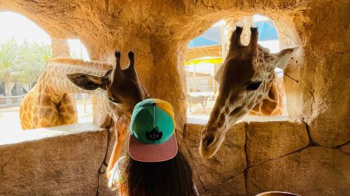 Emirates Park Zoo and Resort