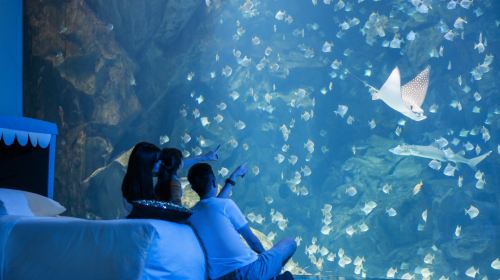 Xpark Overnight Experience | Blu Night Adventure