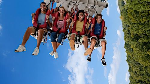 Williamsburg: Busch Gardens Ticket & Water Country Option Day Tours