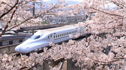 JR Pass Kansai Wide Area 5-Day Rail Pass + Kyoto Prefecture Scenic "Kyoto by the Sea" Tour Pass Transport Passes