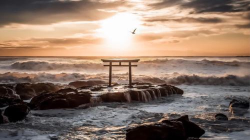 1-day tour to Oarai Isosaki Shrine, seafood market, and Hitachi Seaside Park's baby blue eye flowers in Ibaraki, Japan