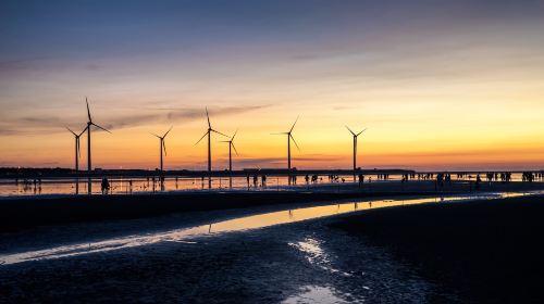 Taiwan Taichung Gaomei Wetland one-day tour[Windmill Silhouette + Wetland Light Chasing] Day Tours