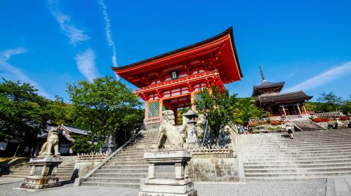 one-day tour to Kiyomizu-dera Temple, Nisannen-zaka, Fushimi Inari Taisha, Todaiji Temple, Nara Park, Kyoto, Japan Day Tours
