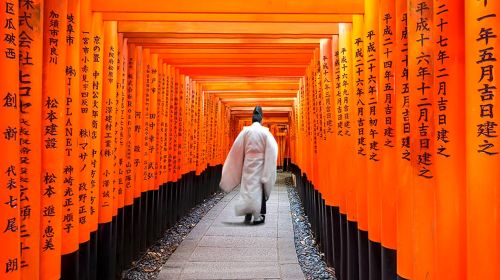 [Kyoto & Nara & Uji 1-Day Tour] Nara Park + Fushimi Inari + Tōdai-ji + Matcha Street Day Tours