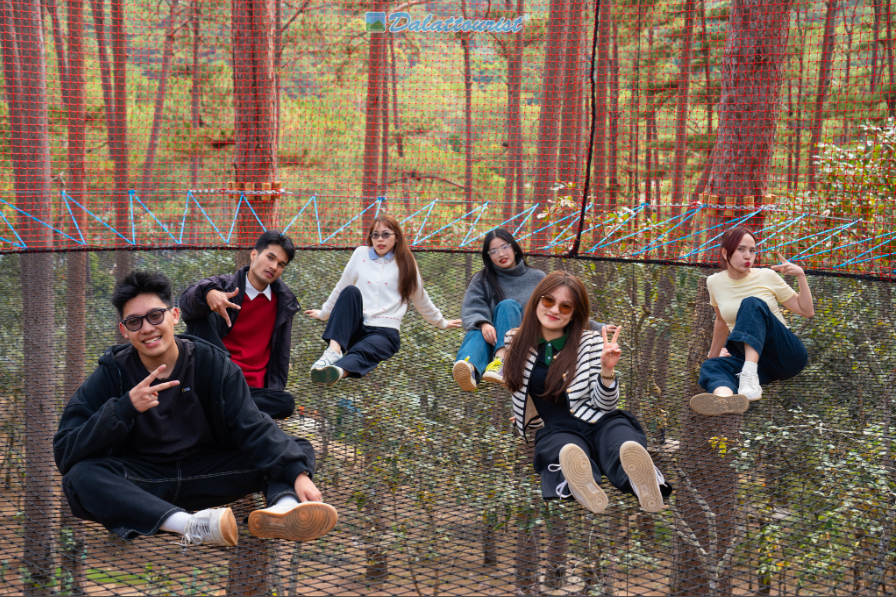 Datanla Wonder Webs – Net Playground