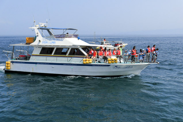 Dolphin Watching Reception Desk