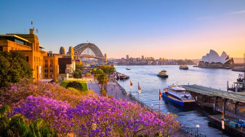 Sydney Luxury Sightseeing Cruise Journey Beyond Cruise (Optional Lunch/Dinner) Transport Passes