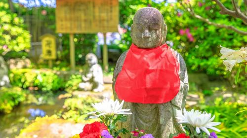 Tokyo: Kamakura, Enoshima Trip With Train Ride, Great Buddha Day Tours