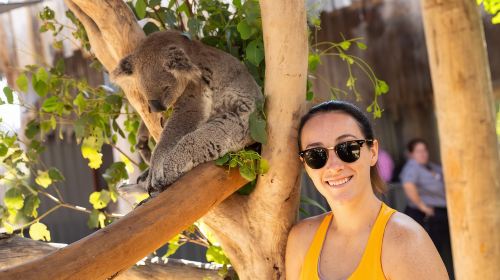 Australia - Blue Mountains 1-day tour & Koala photo opportunity [Depart from Sydney & includes admission ticket & cable car] Day Tours