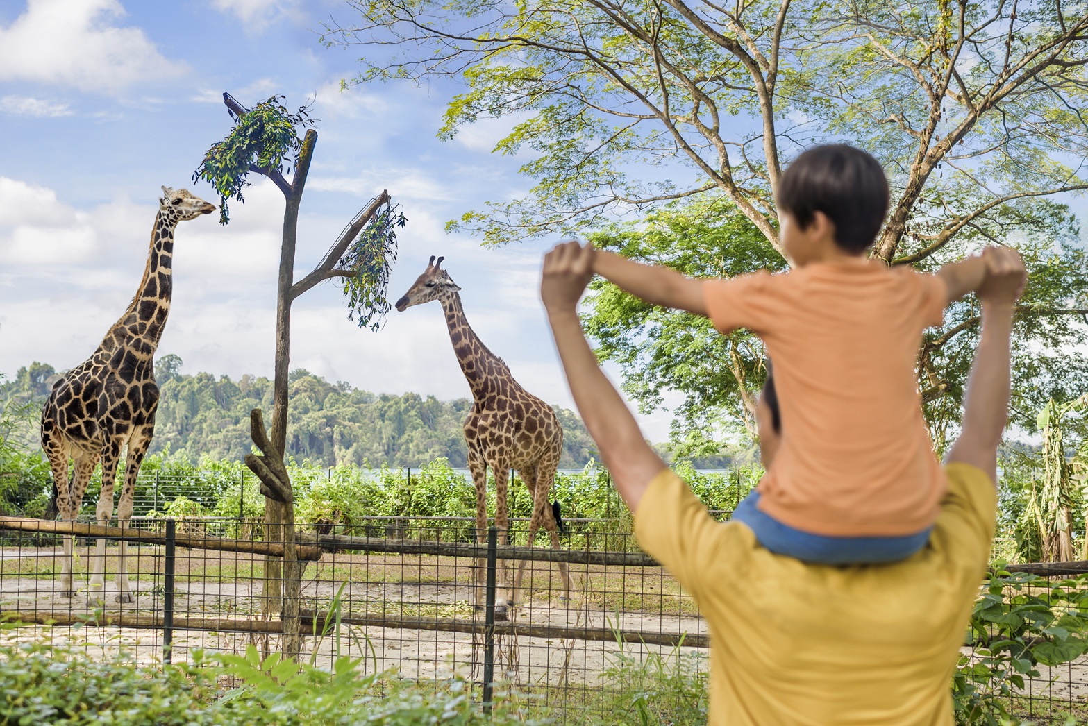 Singapore Zoo and River Wonders with Return Transfer