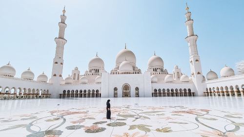 Abu Dhabi Full Day Private Tour  Day Tours