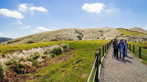 5-Hour Vegetarian Private Tour - Visit Yangmingshan and Taste Veggie Cuisine