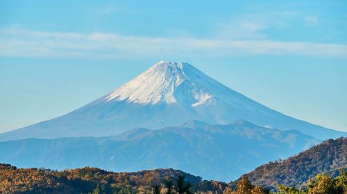 Tokyo: Historic Shuzenji Village with Secret Mt. Fuji Views (From Tokyo, Autumn Special) Day Tours