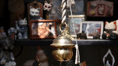 Tokyo: Yanaka & Ueno, – Tokyo of Tradition Guided Tour Day Tours