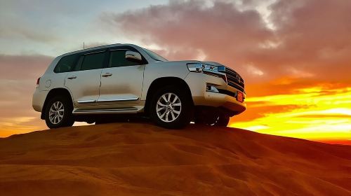 Desert Safari with BBQ Dinner, Camel Ride, Sand Board & Live Show Day Tours