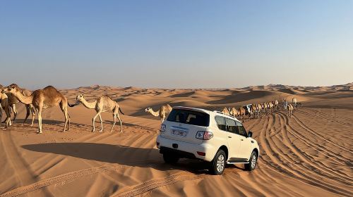 Dubai Desert Safari, Camel Ride, Shisha, Henna, Live BBQ & Shows Day Tours