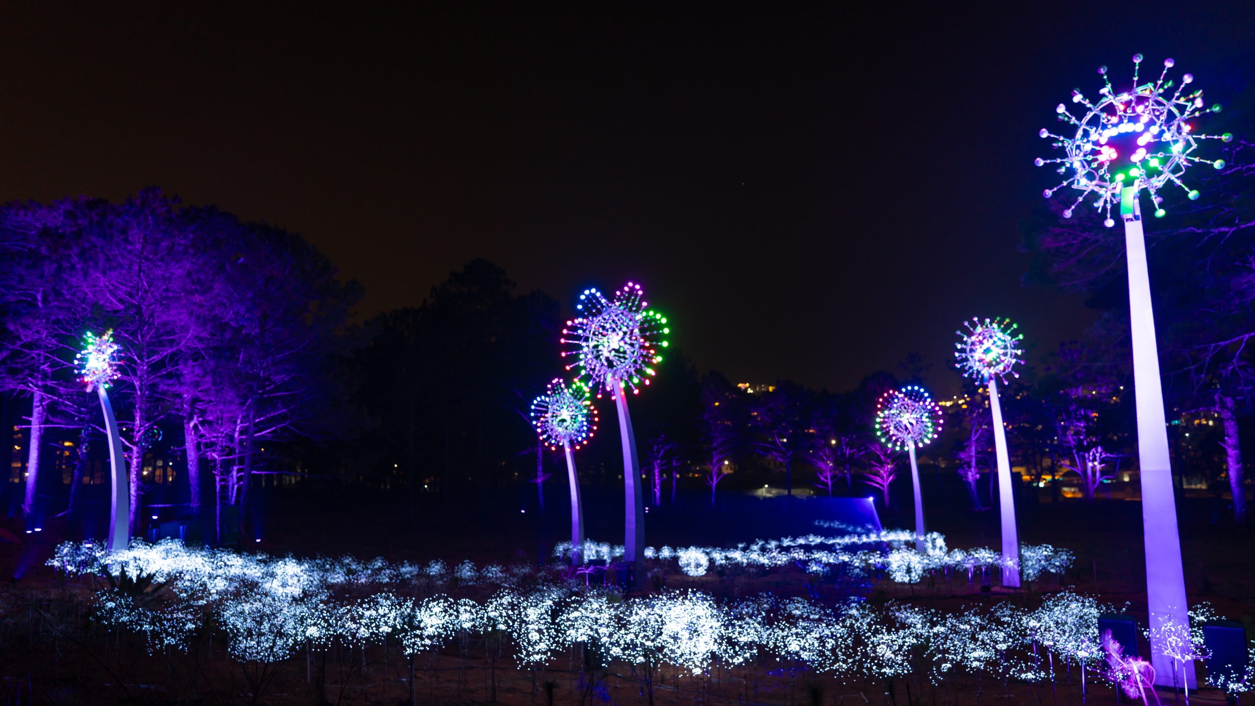 Delight Park Dalat