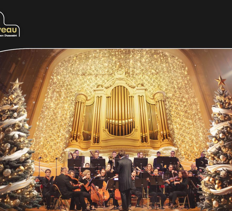 Paris: Experience an Exceptional New Year - Viennese Waltzes and Dinner at Gaveau