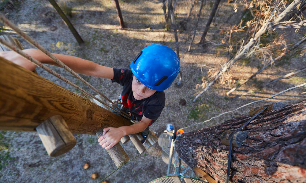 Forest Adventures High Ropes Course and West Park Entry