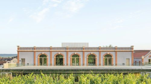 PRESSORIA – A Sensory Journey to the Heart of Champagne Youth