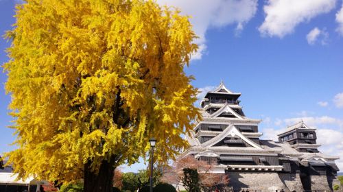 Free Mount Aso shuttle: Kumamoto Castle + Mount Aso + Kusasenri 1-day tour Day Tours