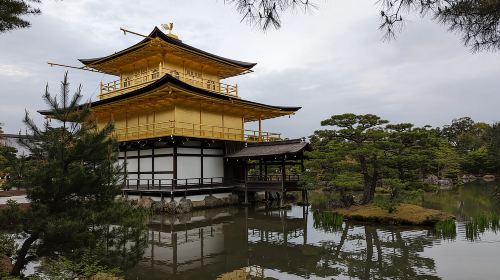 Full-Day Kyoto Walking Tour: Most Iconic Landmarks & Monkeys Day Tours