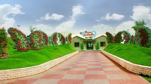 Miracle & Butterfly Garden tour with Private Transfers Day Tours